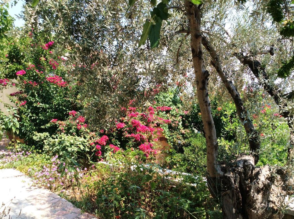 Angelica Villas Hotel Apartments Epidaurus Eksteriør billede