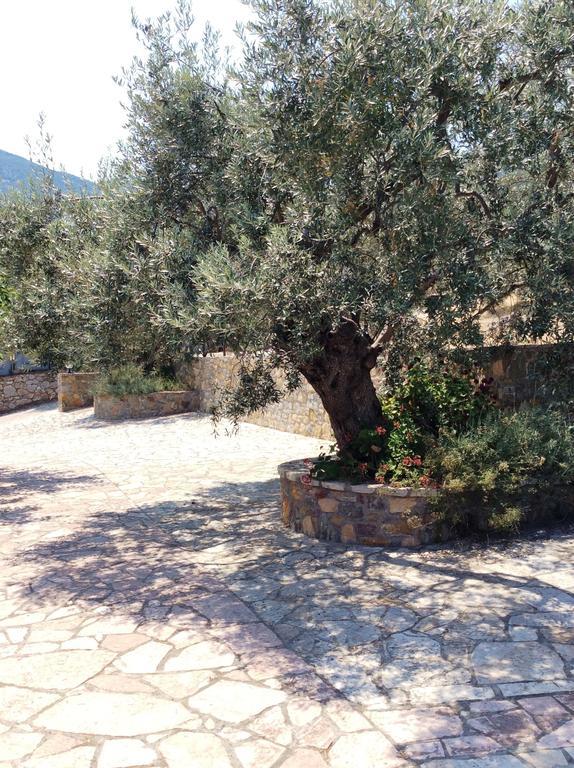Angelica Villas Hotel Apartments Epidaurus Eksteriør billede